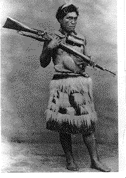Maori Warrior
