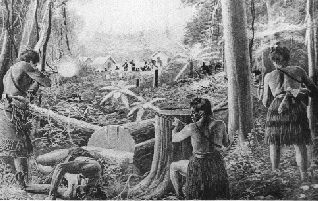 Maori attack on British troop encampment